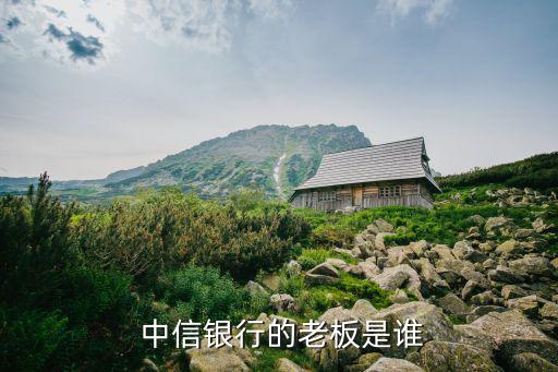 中信集團增持中信證券,越秀資本增持中信證券