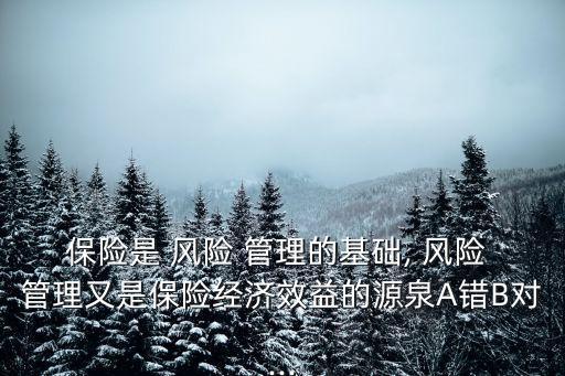 保險(xiǎn)是 風(fēng)險(xiǎn) 管理的基礎(chǔ), 風(fēng)險(xiǎn) 管理又是保險(xiǎn)經(jīng)濟(jì)效益的源泉A錯B對...