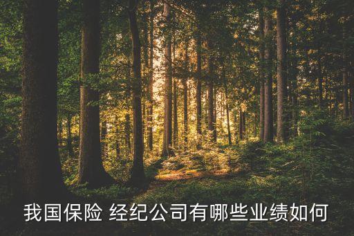 我國保險 經(jīng)紀公司有哪些業(yè)績如何