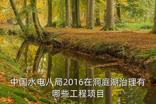 中國水電八局2016在洞庭湖治理有哪些工程項(xiàng)目