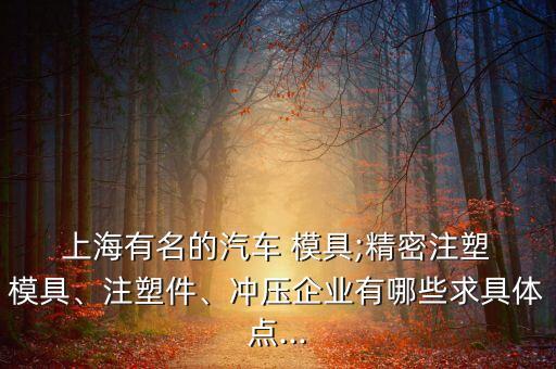  上海有名的汽車 模具;精密注塑 模具、注塑件、沖壓企業(yè)有哪些求具體點...