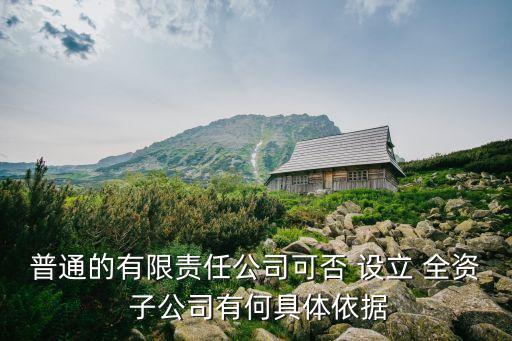 設(shè)立全資子公司股東會決議,為全資子公司提供擔(dān)保需要股東會決議嗎