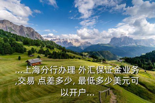 ...上海分行辦理 外匯保證金業(yè)務,交易 點差多少, 最低多少美元可以開戶...