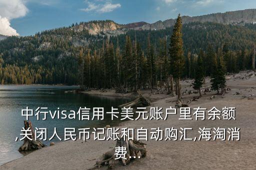 中行visa信用卡美元賬戶里有余額,關閉人民幣記賬和自動購匯,海淘消費...