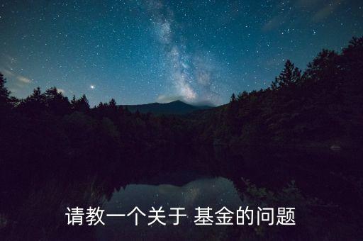 請教一個關(guān)于 基金的問題