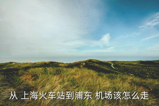 從 上海火車站到浦東 機(jī)場該怎么走