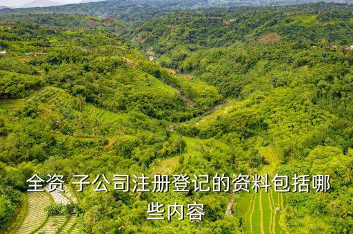  全資 子公司注冊(cè)登記的資料包括哪些內(nèi)容