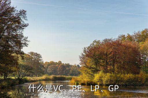 什么是VC、PE、LP、GP