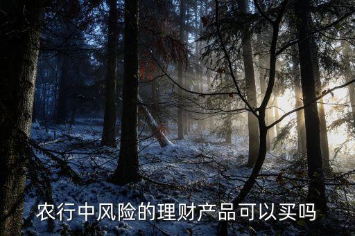 農(nóng)行中風(fēng)險(xiǎn)的理財(cái)產(chǎn)品可以買(mǎi)嗎