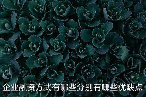 企業(yè)融資方式有哪些分別有哪些優(yōu)缺點
