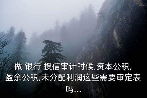 做 銀行 授信審計(jì)時候,資本公積,盈余公積,未分配利潤這些需要審定表嗎...