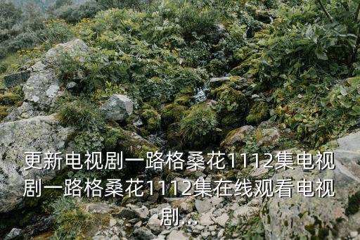 更新電視劇一路格?；?112集電視劇一路格桑花1112集在線觀看電視劇...