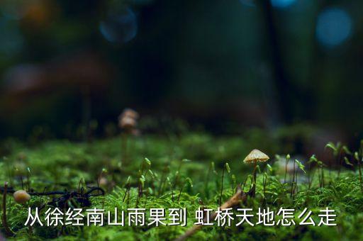 從徐經南山雨果到 虹橋天地怎么走