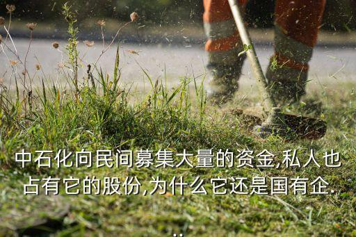 中石化向民間募集大量的資金,私人也占有它的股份,為什么它還是國(guó)有企...