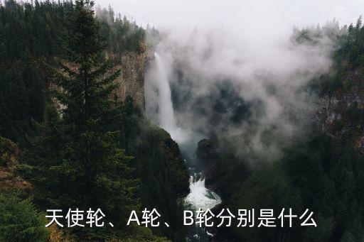 天使輪、A輪、B輪分別是什么