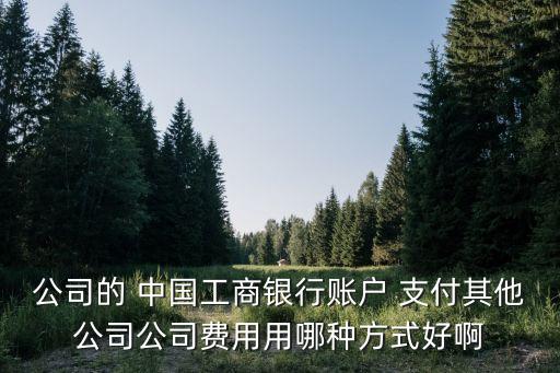 公司的 中國(guó)工商銀行賬戶(hù) 支付其他公司公司費(fèi)用用哪種方式好啊