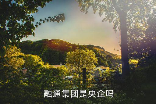 融通基金會,為什么融通基金會自動扣款