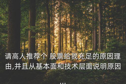 請(qǐng)高人推薦個(gè) 股票給我充足的原因理由,并且從基本面和技術(shù)層面說明原因...