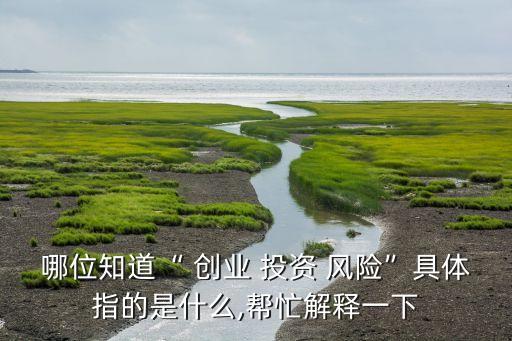 哪位知道“ 創(chuàng)業(yè) 投資 風(fēng)險”具體指的是什么,幫忙解釋一下