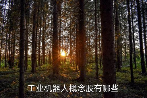 工業(yè)機器人概念股有哪些