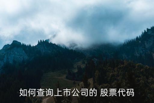 如何查詢(xún)上市公司的 股票代碼