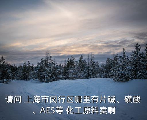 請(qǐng)問 上海市閔行區(qū)哪里有片堿、磺酸、AES等 化工原料賣啊