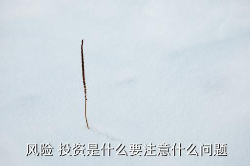  風(fēng)險(xiǎn) 投資是什么要注意什么問(wèn)題