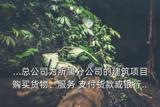 ...總公司為所屬分公司的建筑項(xiàng)目購(gòu)買(mǎi)貨物、服務(wù) 支付貨款或銀行...