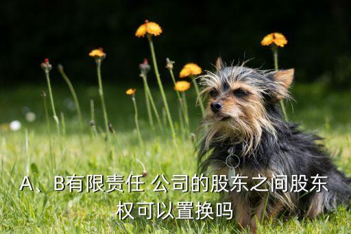 A、B有限責(zé)任 公司的股東之間股東權(quán)可以置換嗎