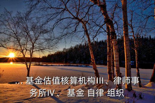 ... 基金估值核算機構(gòu)Ⅲ、律師事務(wù)所Ⅳ、 基金 自律 組織