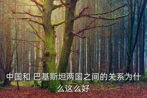 中國和 巴基斯坦兩國之間的關(guān)系為什么這么好
