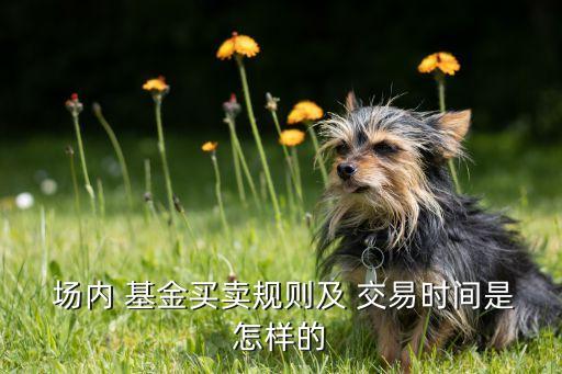  場內(nèi) 基金買賣規(guī)則及 交易時間是怎樣的