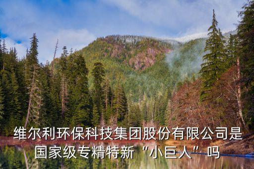  維爾利環(huán)?？萍技瘓F(tuán)股份有限公司是國(guó)家級(jí)專(zhuān)精特新“小巨人”嗎