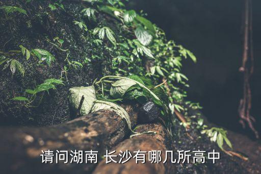 請(qǐng)問湖南 長沙有哪幾所高中
