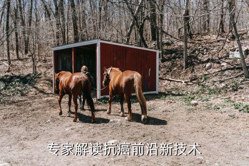 專家解讀抗癌前沿新技術