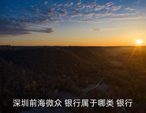 民營(yíng)銀行第一家,國內(nèi)民營(yíng)銀行最好是哪一家