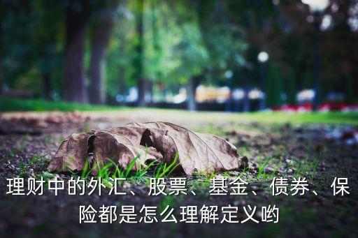 理財中的外匯、股票、基金、債券、保險都是怎么理解定義喲