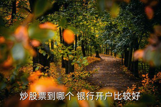 炒股票到哪個(gè) 銀行開(kāi)戶比較好