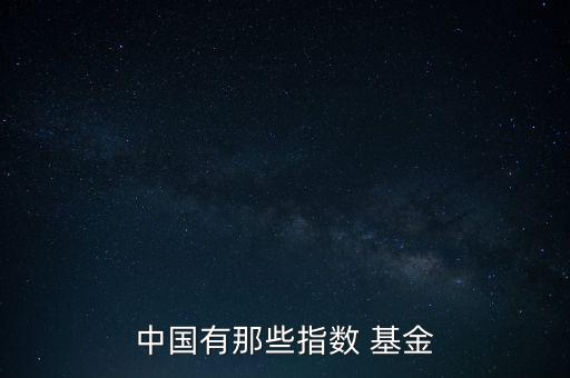 中國有那些指數 基金