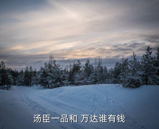 萬達(dá)集團(tuán)2014年凈利潤(rùn)