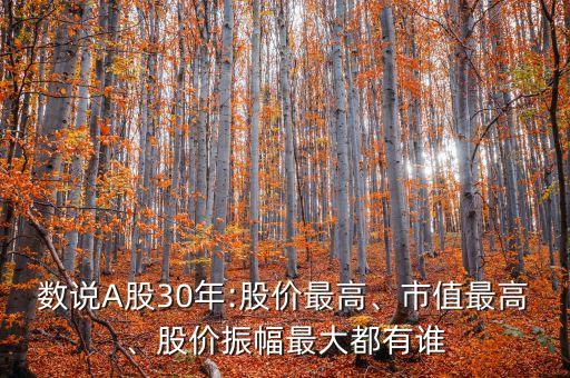 數(shù)說A股30年:股價最高、市值最高、股價振幅最大都有誰