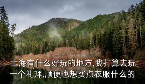  上海有什么好玩的地方,我打算去玩一個(gè)禮拜,順便也想買點(diǎn)衣服什么的
