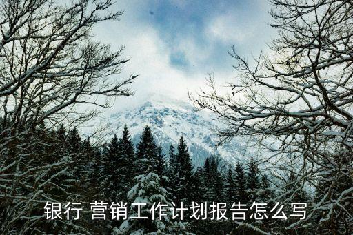 建設銀行客戶經理營銷案例PPT