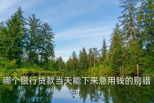 哪個(gè)銀行貸款當(dāng)天能下來(lái)急用錢(qián)的別錯(cuò)過(guò)