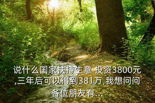 說什么國(guó)家扶持生意 投資3800元,三年后可以得到381萬(wàn),我想問問各位朋友有...