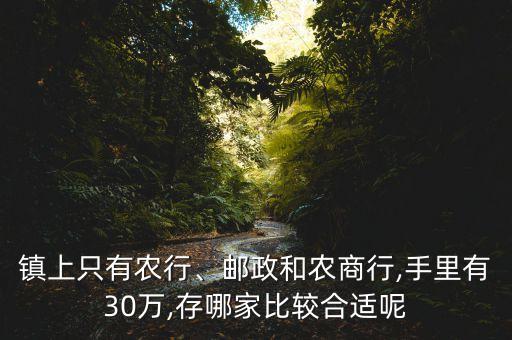 鎮(zhèn)上只有農(nóng)行、郵政和農(nóng)商行,手里有30萬(wàn),存哪家比較合適呢