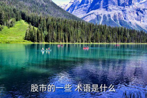 股票行業(yè)的專業(yè)術語,100條股票專業(yè)術語
