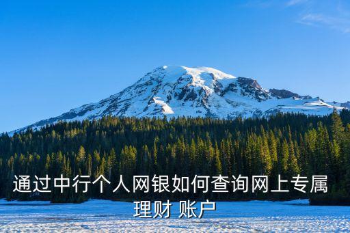 通過中行個人網(wǎng)銀如何查詢網(wǎng)上專屬 理財(cái) 賬戶