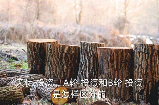 天使 投資、A輪 投資和B輪 投資是怎樣區(qū)分的