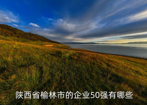  陜西省榆林市的企業(yè)50強有哪些